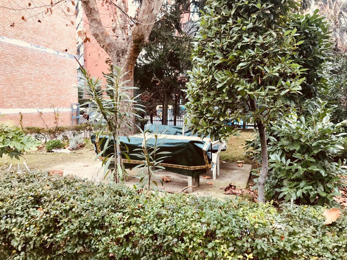 Tl Appartamenti Arance E Rose Bolonya Dış mekan fotoğraf